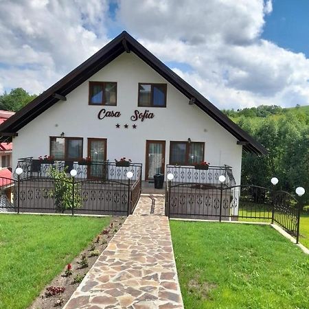 Casa Sofia Apartment Baltatesti Екстериор снимка