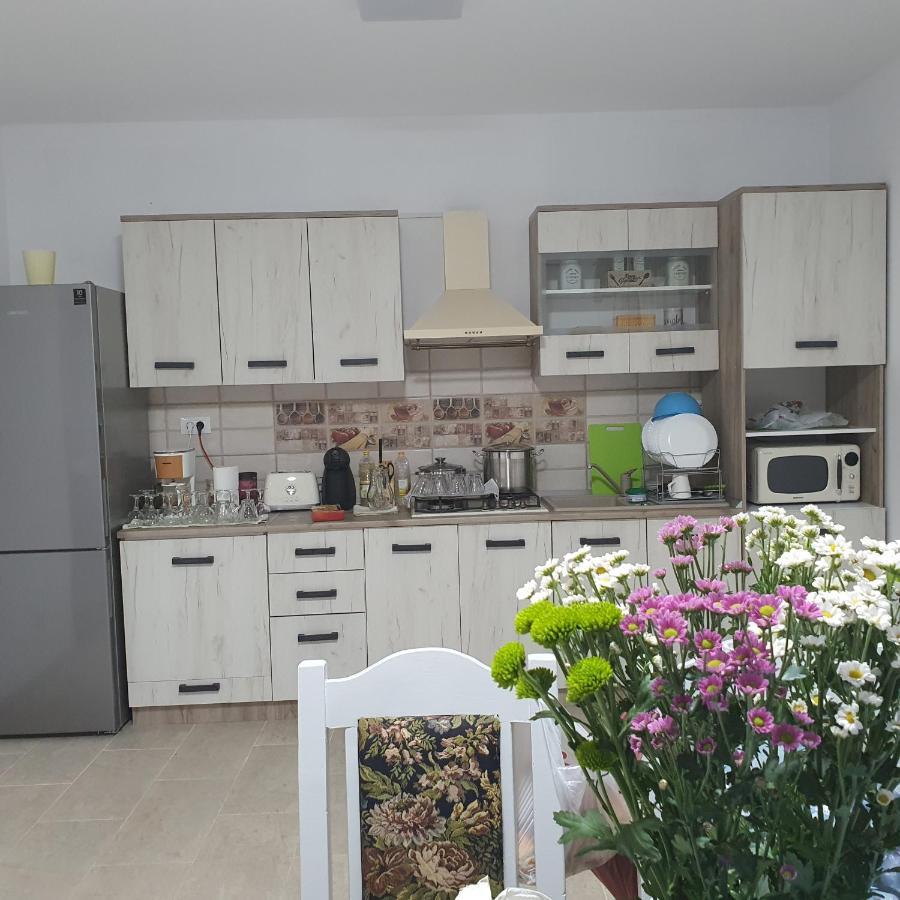 Casa Sofia Apartment Baltatesti Екстериор снимка