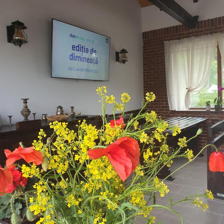 Casa Sofia Apartment Baltatesti Екстериор снимка