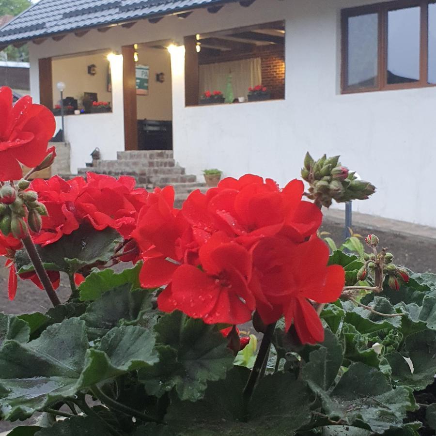 Casa Sofia Apartment Baltatesti Екстериор снимка