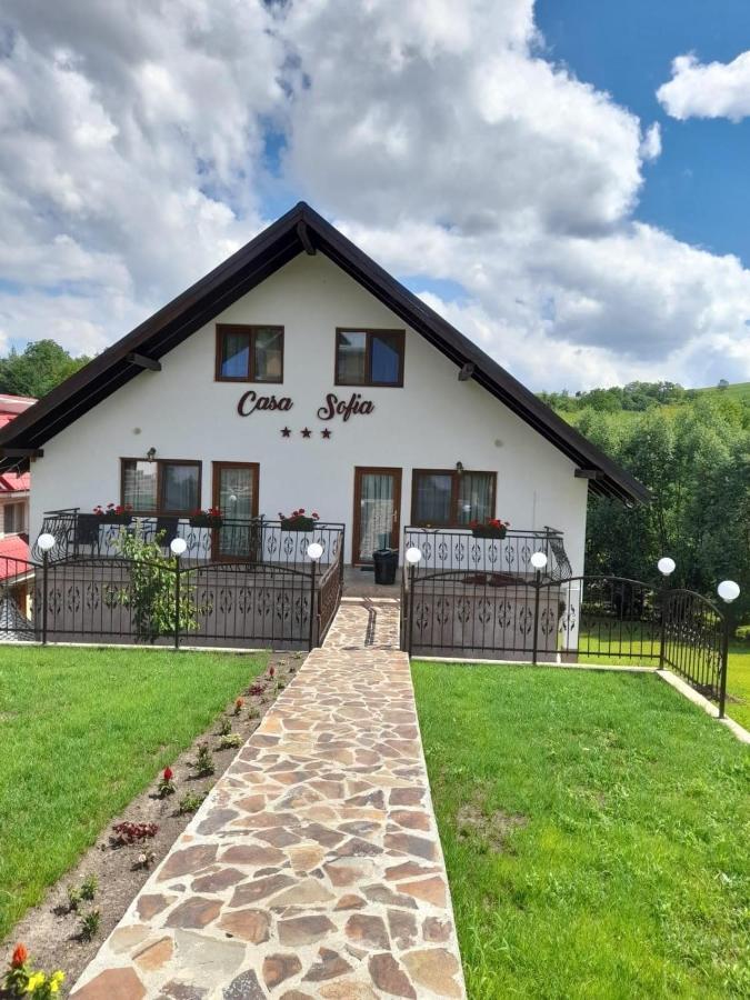 Casa Sofia Apartment Baltatesti Екстериор снимка
