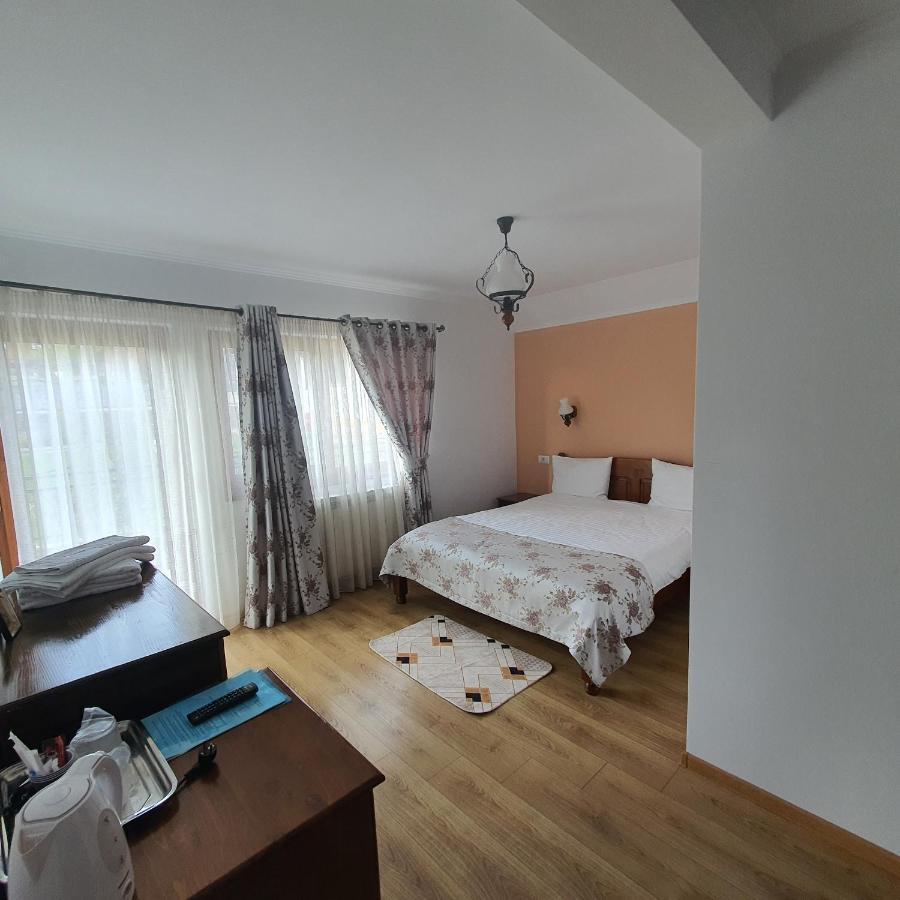 Casa Sofia Apartment Baltatesti Екстериор снимка