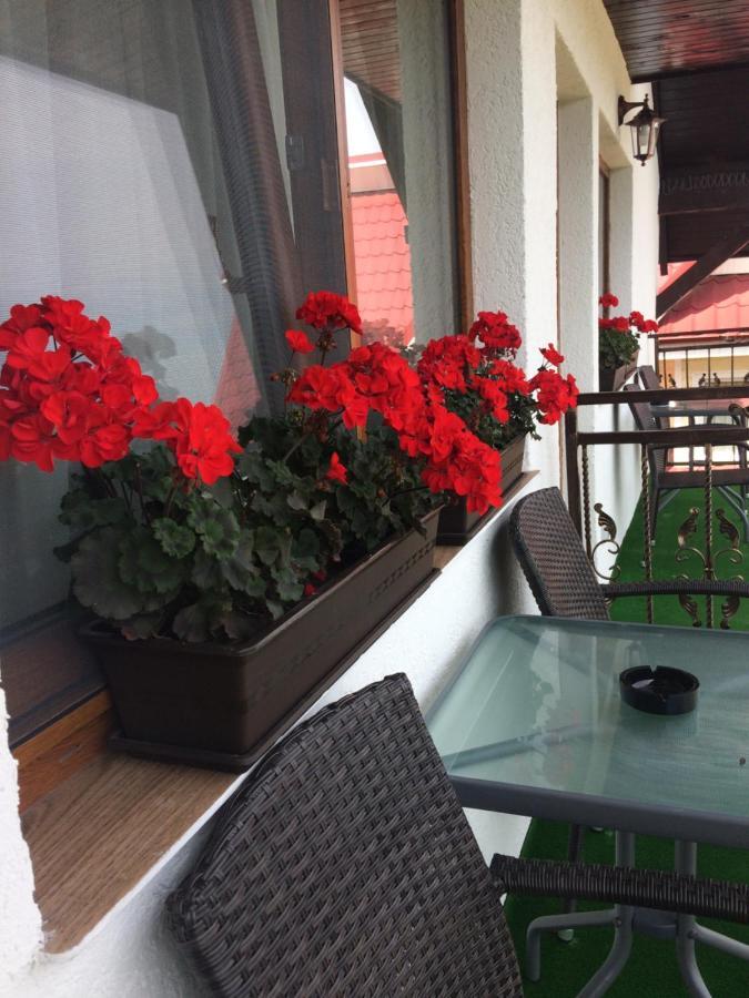 Casa Sofia Apartment Baltatesti Екстериор снимка
