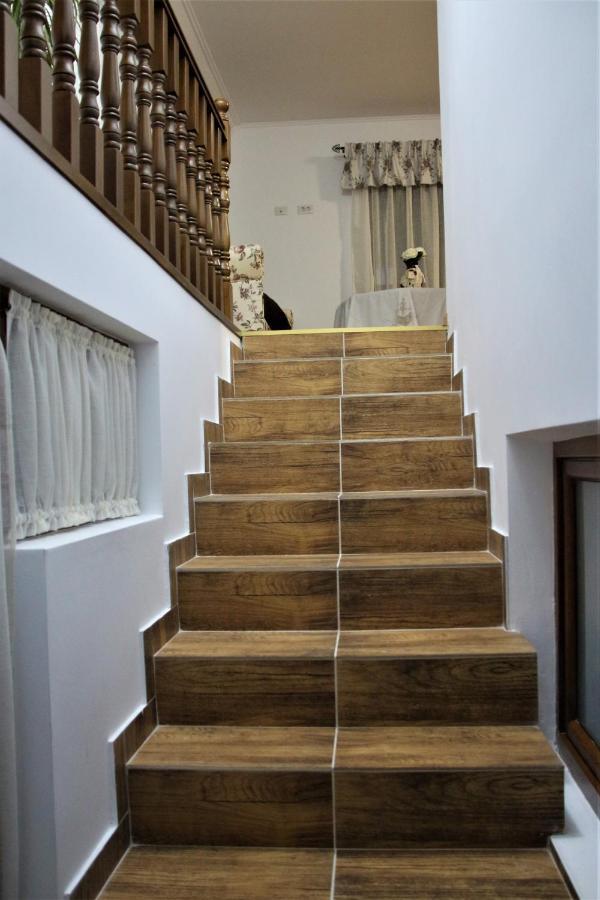 Casa Sofia Apartment Baltatesti Екстериор снимка